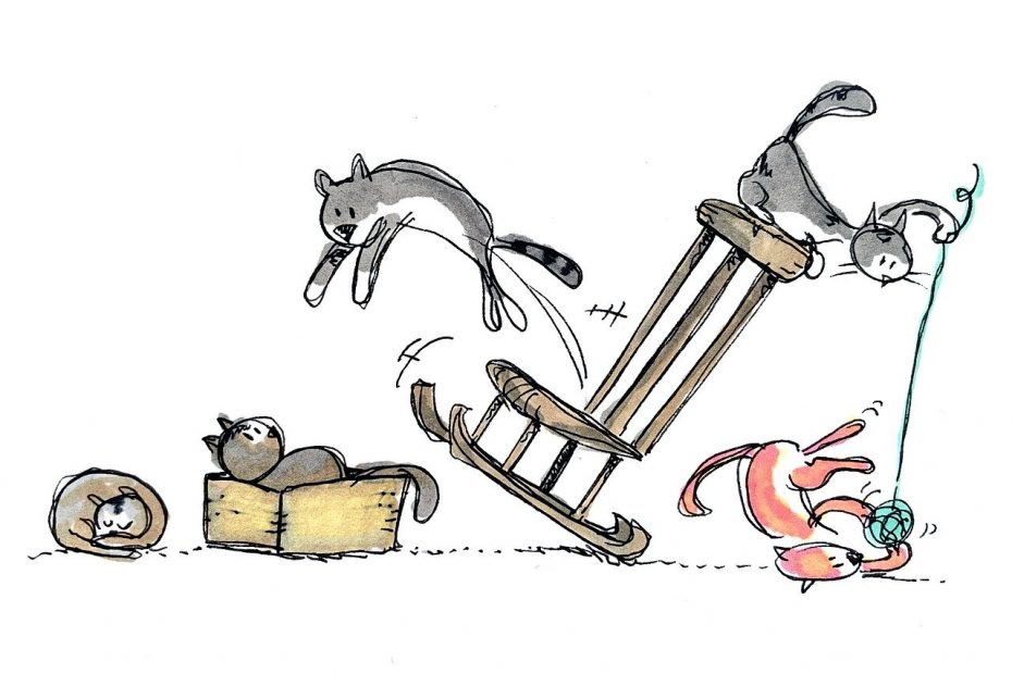 cats, cats playing, pets
